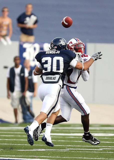 为他们提供 为他们提供